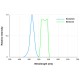 Microscop Fluorescenta VERDE cu iluminare 465 nm si filtru 510 nm- 545nm- AM4517MT-G2FBW